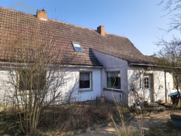 Sanierungsbedürftiges Haus mit 171 m² Wohnfläche und großem Grundstück!, 39615 Pollitz, Einfamilienhaus