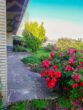 Terrasse EG - Großzügiges Zweifamilienhaus mit Garten und Kapitalanlagepotenzial in Wittingen!